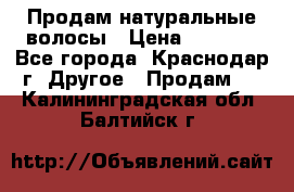 Продам натуральные волосы › Цена ­ 3 000 - Все города, Краснодар г. Другое » Продам   . Калининградская обл.,Балтийск г.